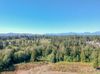 Hwy 303 NE photo